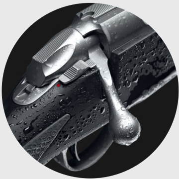 Finnlight2.png